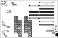 DIAMOND FLOWER, INC. &nbsp; SUPRA-2