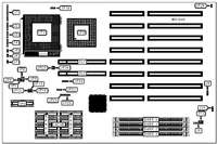 DIAMOND FLOWER, INC. &nbsp; 486-OCV PLUS