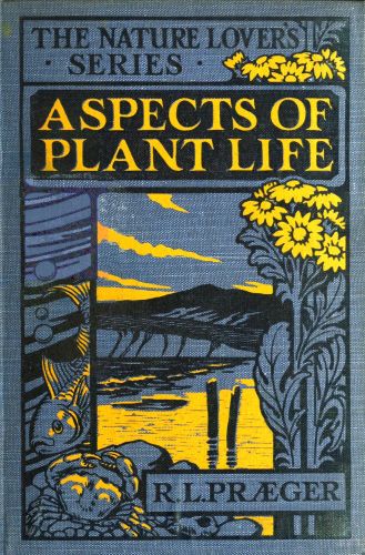 [Image
of the book's cover unavailable.]