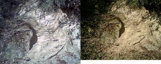 左:eyeplate megaで、右:EX-S1で撮影 <クリック>で、別の風景