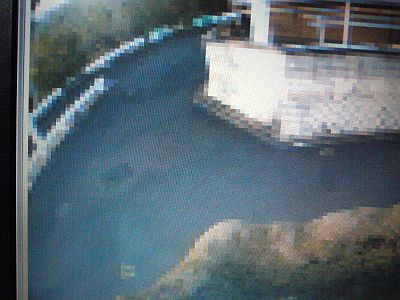 図5:画面解像度を勝手に落としてしまう悪癖?