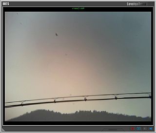 図1:取れないゴミ <click>→図2:8倍は大袈裟過ぎ?