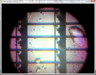 図9:液晶パネルだけをみた <push>→図10:分離したシート類 <click>→図11:「黒い半透明シート」見たら