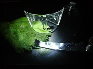 図7:付属照明での観察 <click>→図8:約500倍拡大での白毛髪画像