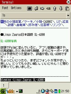 SL-A300写真