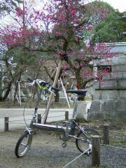 輪行写真
