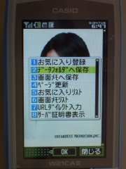 W21CAII写真