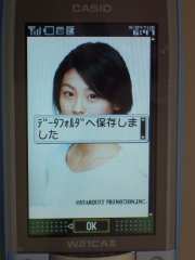 W21CAII写真