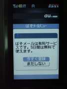W21CAII写真