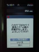 W21CAII写真