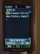 W21CAII写真