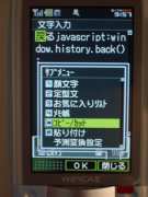 W21CAII写真