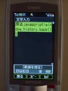 W21CAII写真