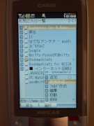 W21CAII写真