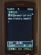 W21CAII写真
