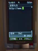 W21CAII写真