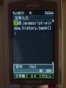 W21CAII写真