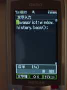 W21CAII写真