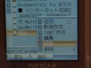 W21CAII写真