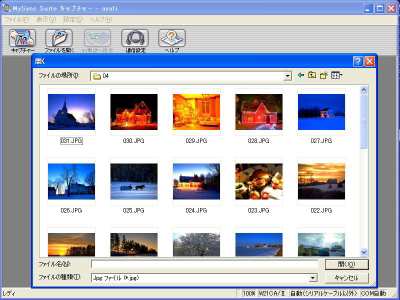 W21CAII写真