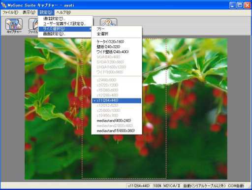 W21CAII写真