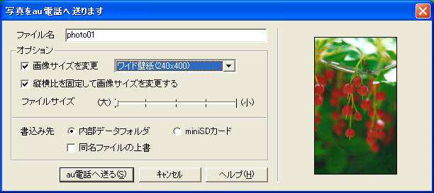 W21CAII写真