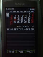 W21CAII写真