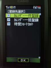 W21CAII写真