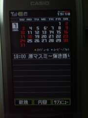 W21CAII写真