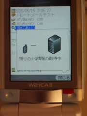 W21CAII写真