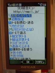 W21CAII写真